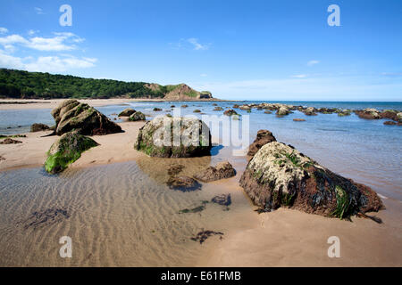 Felsen entlang der Küste zu einem Osgodby Zeitpunkt oder Knipe Punkt Cayton Bay Scarborough North Yorkshire England Stockfoto