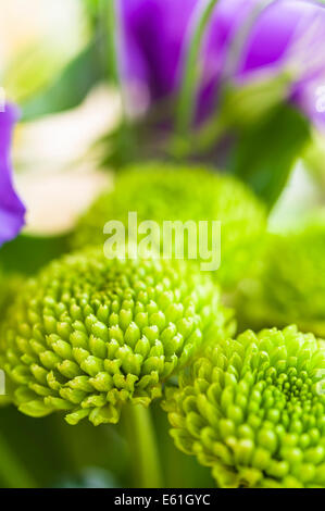 Nahaufnahme von einem Blumenschmuck. Stockfoto