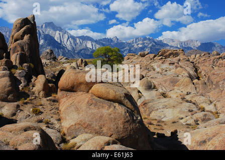 Die Alabama Hills mit Mount Whitney im Hintergrund, Lone Pine, Kalifornien USA Stockfoto