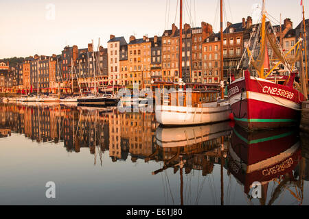 Warmen Morgenlicht im Hafen von Honfleur, Normandie Frankreich Europa Stockfoto