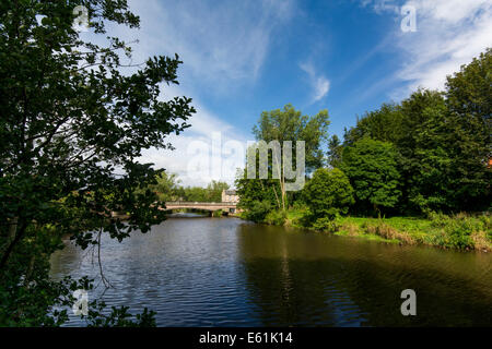 Fluß Wansbeck, Morpeth Stockfoto