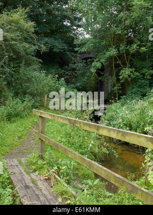 Überwucherten öffentlichen Fußweg mit Steg und Bahn Bogen in der Nähe von Sandbach in Cheshire UK Stockfoto