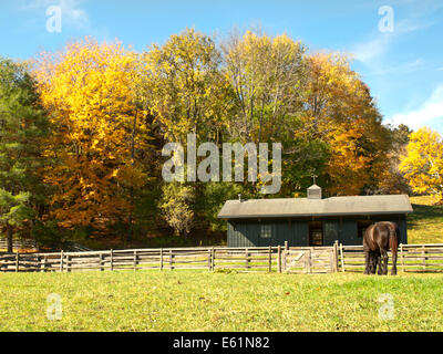 Pferd und Stall im Herbst Stockfoto