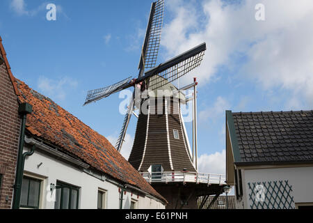 Windmühle "de Fortuin" oder das Glück bei Hattem, historische Hansestadt in der Provinz Gelderland in den Niederlanden. Stockfoto