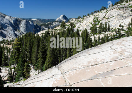 Blick vom Granitfelsen der Olmsted Point in Richtung Half Dome, Yosemite NP Stockfoto