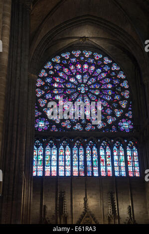 Das Buntglasfenster der Nordrose in der Kathedrale Notre Dame in Paris, Frankreich Stockfoto