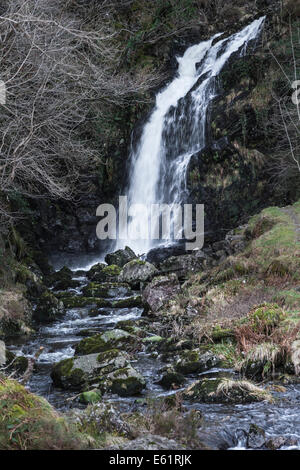 Grey Mare Tail Wasserfall bei Talnotry in der Galloway Forest Park in Schottland. Stockfoto