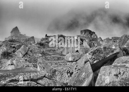 MACHU PICHU, PERU 2014 Stockfoto