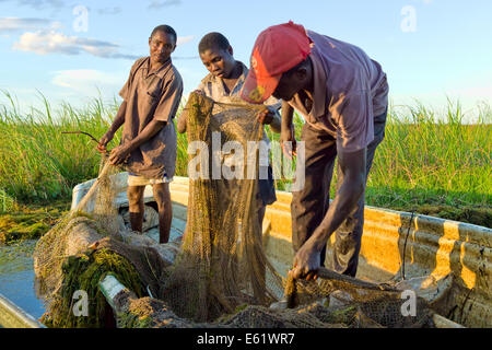 Angeln ist eine primäre wirtschaftliche Aktivität für Familien leben in und um Bangweulu Feuchtgebiete, Sambia, einschließlich der für diese Männer. Stockfoto