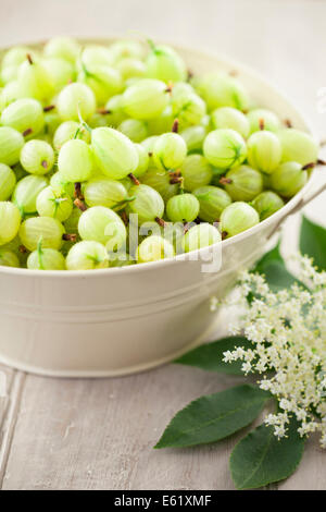 Stachelbeeren in Emaille Schüssel Stockfoto