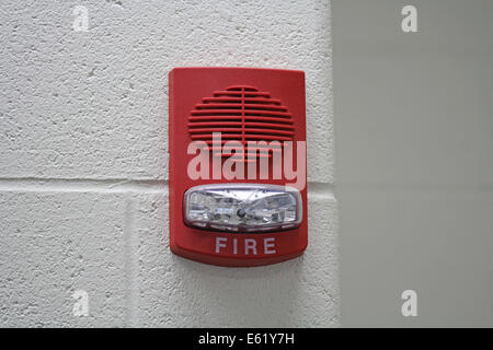 Red Fire Alarm mit Strobe Stockfoto