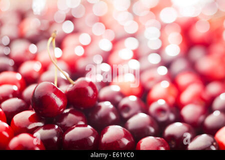 Rote Kirschen Hintergrund. Geringe Schärfentiefe. Stockfoto