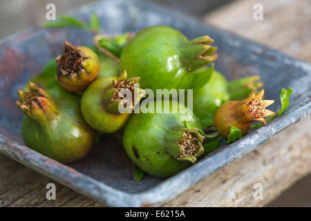 Granatäpfel in blaue Keramik Schale auf rustikalen Holztisch Stockfoto