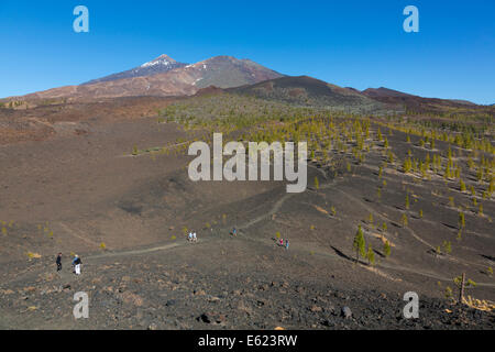 Blick auf den Teide, 3718 m, Pico del Viejo, 3134 m und Volcán De La Botija Vulkan, 2122 m, gesehen aus dem Samara-Krater Stockfoto