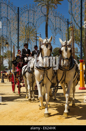 Geschmückten Pferden und verkleidet Kutscher im Feria del Caballo Pferdemesse, Jerez De La Frontera, Provinz Cádiz, Andalusien Stockfoto