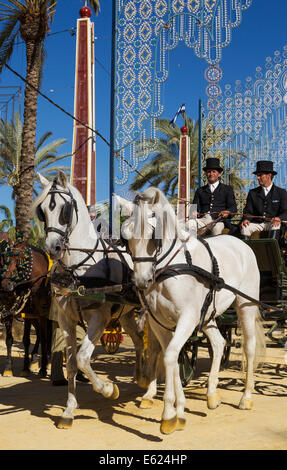 Geschmückten Pferden und verkleidet Kutscher im Feria del Caballo Pferdemesse, Jerez De La Frontera, Provinz Cádiz, Andalusien Stockfoto