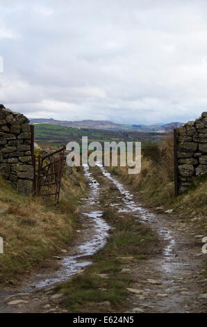 Bergpfad bei Tanygrisiau, Gwynedd, Nordwales Snowdonia Stockfoto