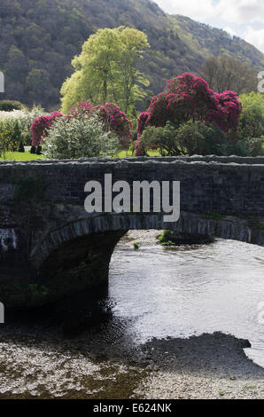 Steinerne Brücke in Maentwrog, Snowdonia, Gwynedd Stockfoto