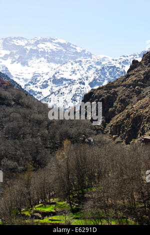 Kasbah de Toubkal, den höchsten Berg Mount Toubkal in Nordafrika 4167 Mt, schneebedeckten, Imlil-Tal, Hills, Umgebung, Marokko Stockfoto