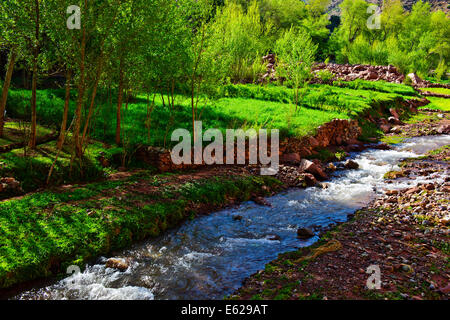 Imlil-Tal, Stream, Nussbaum Pfirsichbäume blühen, Paul Street, Reisen & Landschaft Fotograf, Marokko, Stockfoto