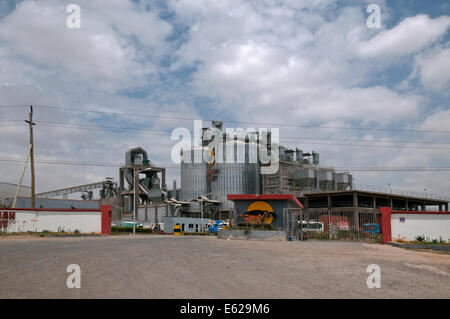 Savannah Zement Industrie Edelstahl Silo und Fabrik am Athi River unterwegs Namanga Nairobi Kenia in Ostafrika Stockfoto