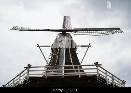 Windmühle "de Fortuin" Hattem oder das Glück, eine historische Hansestadt in der Provinz Gelderland in den Niederlanden. Stockfoto