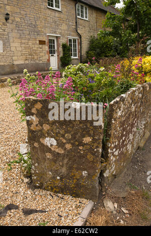 UK England, Dorset, Marnhull, Burton Street Eheband Cottage, ungewöhnliche Gartenmauer Brammen von Flechten bedeckt Stein Stockfoto