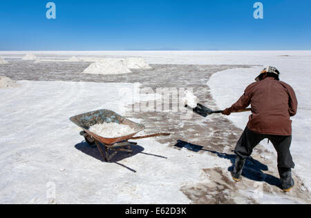 Arbeiter Salz zu sammeln. Salar de Uyuni. Bolivien Stockfoto