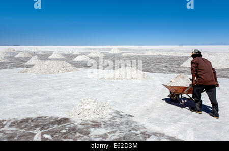 Arbeiter Salz zu sammeln. Salar de Uyuni. Bolivien Stockfoto