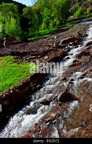 Imlil-Tal, Stream, Nussbaum Pfirsichbäume blühen, Paul Street, Reisen & Landschaft Fotograf, Marokko, Stockfoto