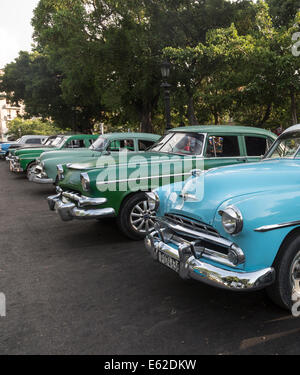 1950er Jahren Altautos, Havanna, Kuba Stockfoto