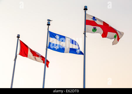 Old Montreal port Sommer 2014 Vieux-Port de Montréal 2014 Stockfoto