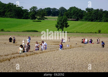 Menschen bewundern ein Kornkreis in einem Maisfeld bei Rasiting, Upper Bavaria, Bavaria, Germany, Europe Stockfoto