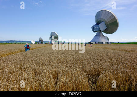 Menschen bewundern ein Kornkreis in einem Maisfeld bei Rasiting, Upper Bavaria, Bavaria, Germany, Europe Stockfoto