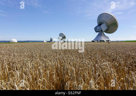 Menschen bewundern ein Kornkreis in einem Maisfeld bei Rasiting, Upper Bavaria, Bavaria, Germany, Europe Stockfoto