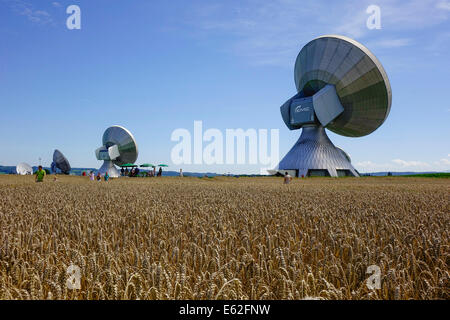 Menschen bewundern ein Kornkreis in einem Maisfeld bei Rasiting, Upper Bavaria, Bavaria, Germany, Europe Stockfoto