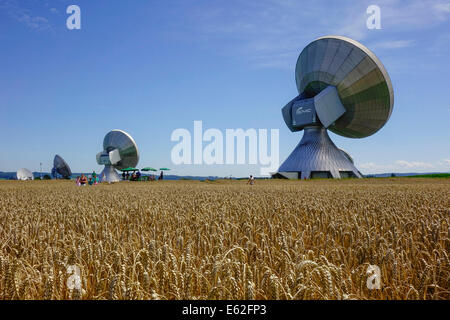 Menschen bewundern ein Kornkreis in einem Maisfeld bei Rasiting, Upper Bavaria, Bavaria, Germany, Europe Stockfoto