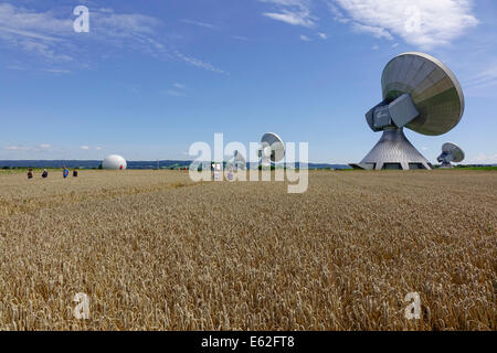 Menschen bewundern ein Kornkreis in einem Maisfeld bei Rasiting, Upper Bavaria, Bavaria, Germany, Europe Stockfoto
