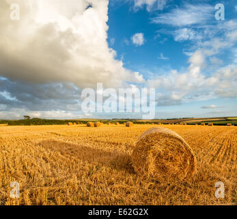 Heuballen unter blauem Himmel in der Nähe von Padstow in Cornwall mit Windkraftanlagen in weiter Ferne Stockfoto