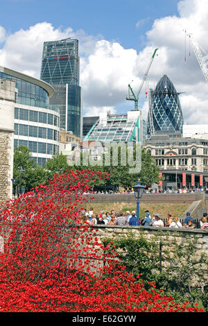 WW1 Erinnerung Keramik Mohnblumen in London Tower UK Stockfoto