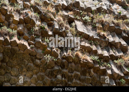 Ineinandergreifende Basaltsäulen, Garni Schlucht, Armenien Stockfoto