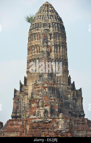 Wat Chai Wattanaram in Ayutthaya, Thailand Stockfoto