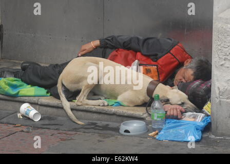 London, UK, 12. August 2014, Obdachloser, Big Issue Verkäufer und seinem Hund auf den Straßen von London. Stockfoto