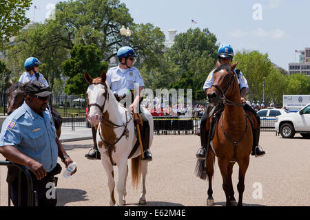 US Park Police montierten Einheit - Washington, DC USA Stockfoto