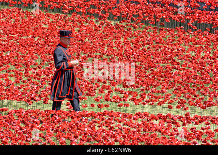 Yeoman Warder & Bereich der Keramik Mohnblumen "Blut fegte Ländereien & Meere rot" 1. Weltkrieg Tribut in den trockenen Graben an der Tower von London Tower Hamlets UK Stockfoto