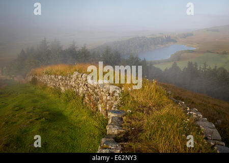 Morgendämmerung am Hadrianswall in der Nähe des römischen Kastells bei Housesteads, Northumberland, England Stockfoto