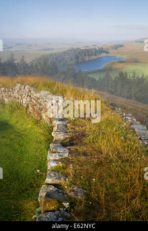 Morgendämmerung am Hadrianswall in der Nähe des römischen Kastells bei Housesteads, Northumberland, England Stockfoto