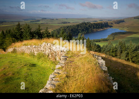 Morgendämmerung am Hadrianswall in der Nähe des römischen Kastells bei Housesteads, Northumberland, England Stockfoto