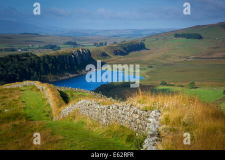 Morgendämmerung am Hadrianswall in der Nähe des römischen Kastells bei Housesteads, Northumberland, England Stockfoto