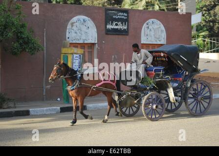 Pferdekutsche in Ägypten Stockfoto